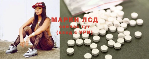 ПСИЛОЦИБИНОВЫЕ ГРИБЫ Кукмор