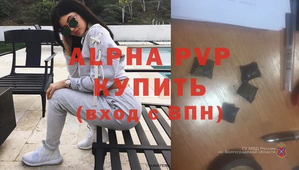 ПСИЛОЦИБИНОВЫЕ ГРИБЫ Кукмор