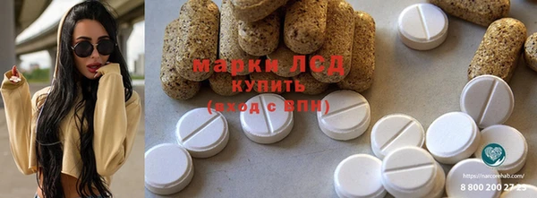 ПСИЛОЦИБИНОВЫЕ ГРИБЫ Кукмор