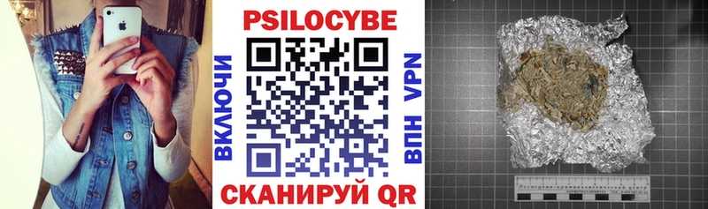 Псилоцибиновые грибы Psilocybine cubensis  Купить  Белорецк 